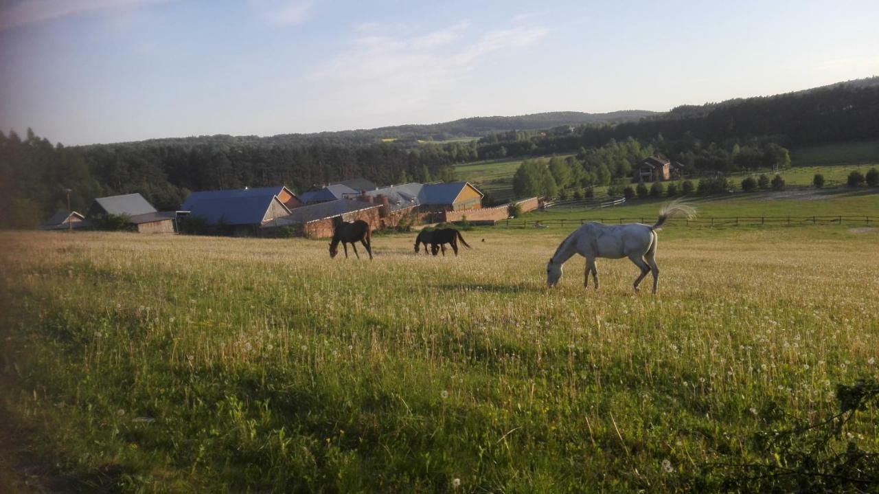 Stadnina Koni Tarka Zwierzyniec Eksteriør bilde